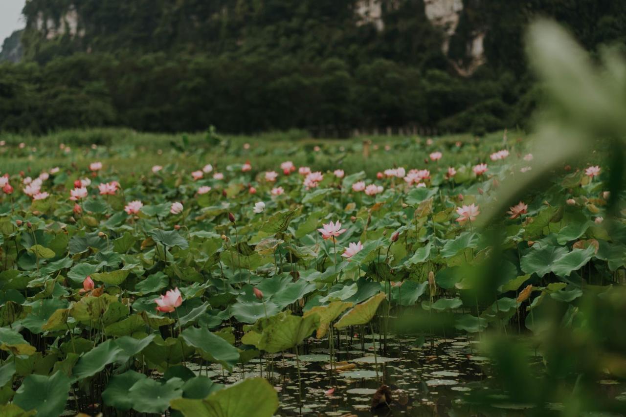 Aravinda Resort Ninh Bình Extérieur photo